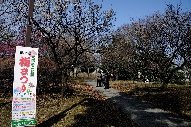 大宮第二公園 梅まつり 大陶器市 見沼 絵日記